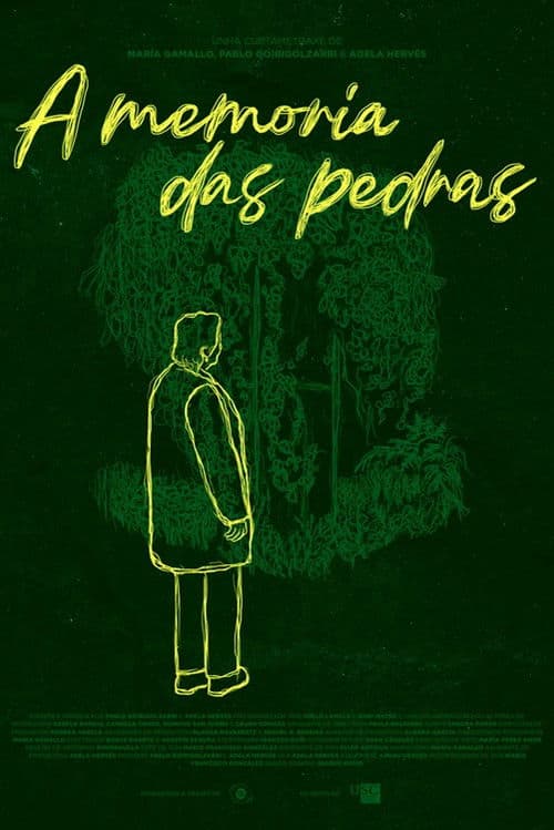 A memoria das pedras poster