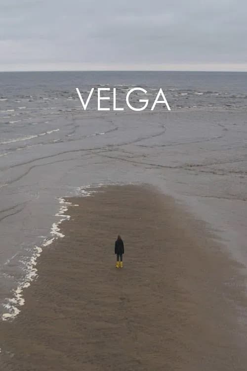 Velga poster