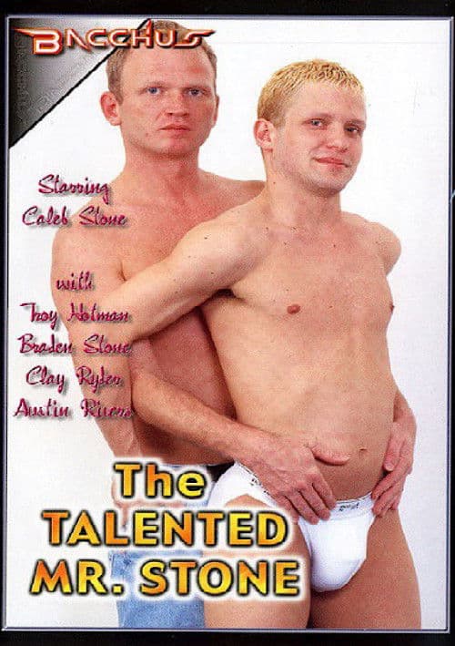 The Talented Mr. Stone poster