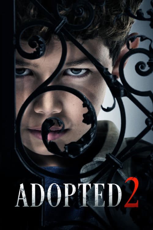 Adopted 2 poster