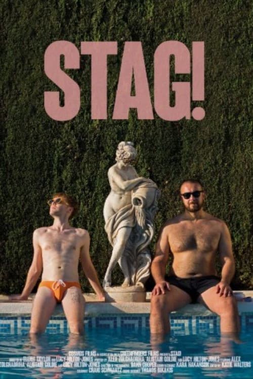 Stag! poster