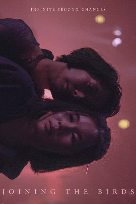 Joining the Birds poster