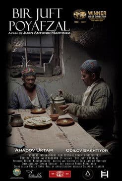 Pair of Shoes poster