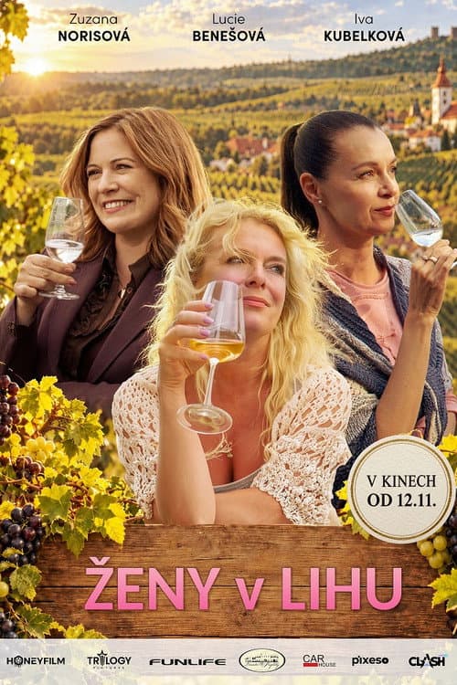 Ženy v lihu poster