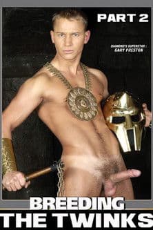 Breeding The Twinks 2 poster
