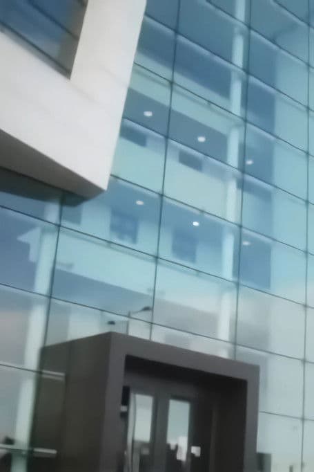 T. Rex In The Atrium