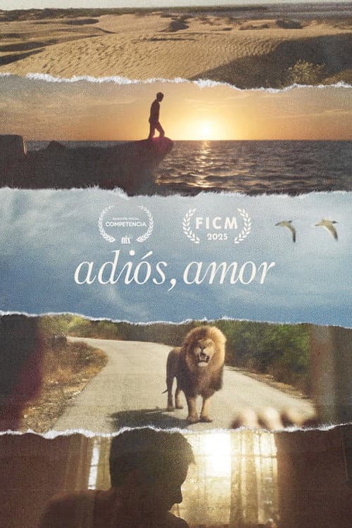 Goodbye, Love poster