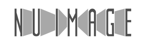 Nu Image Entertainment
