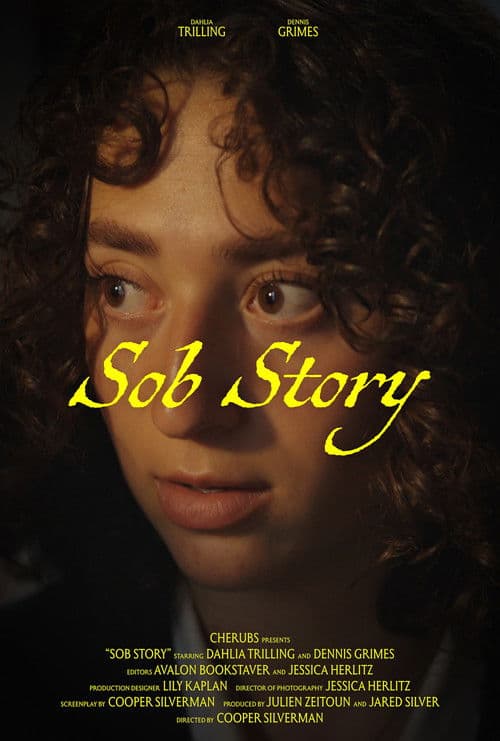 Sob Story poster