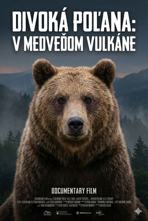 Divoká Poľana: V medveďom vulkáne poster