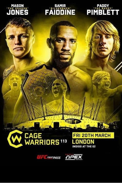 Cage Warriors 113: Fabinski vs. Stewart poster