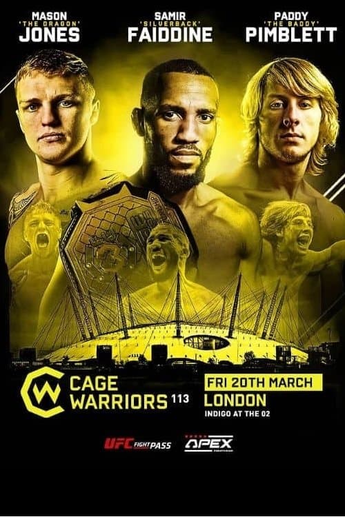 Cage Warriors 113: Fabinski vs. Stewart poster