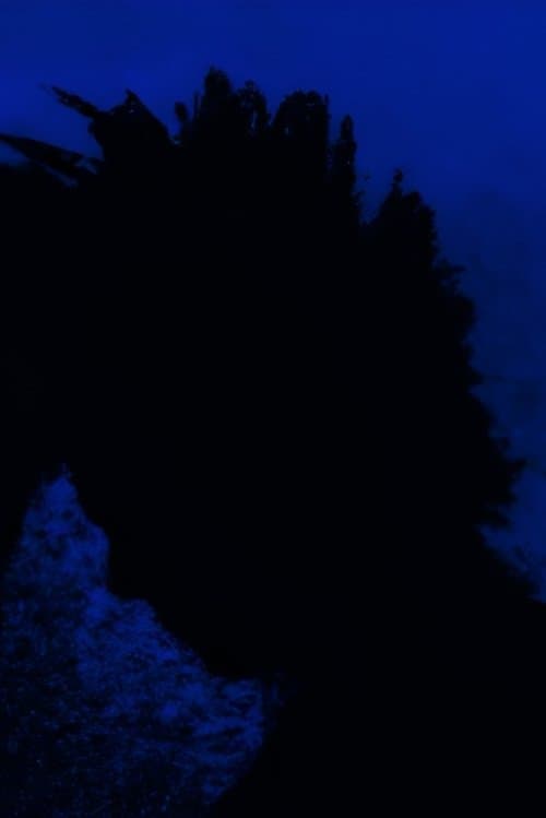 Angel of the Night poster