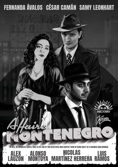 The Montenegro Affair poster