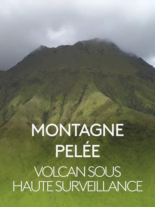 Montagne Pelée, volcan sous haute surveillance poster