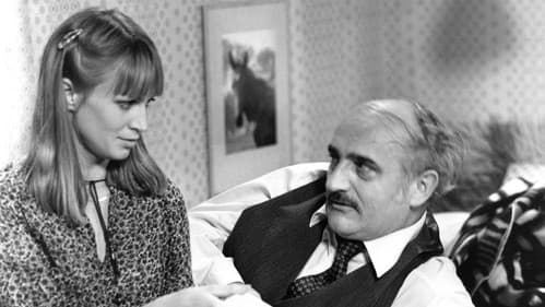 Začalo to karafiátem poster