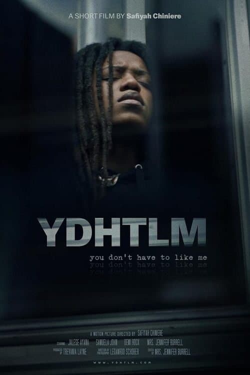 YDHTLM: You Don't Have to Like Me poster