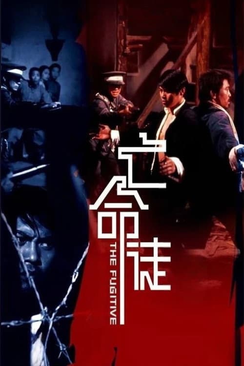 The Fugitive poster