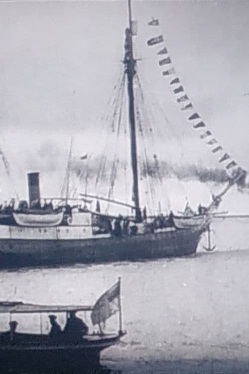 Экспедиция Георгия Седова poster