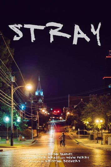 Stray poster