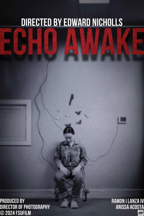 Echo Awake poster
