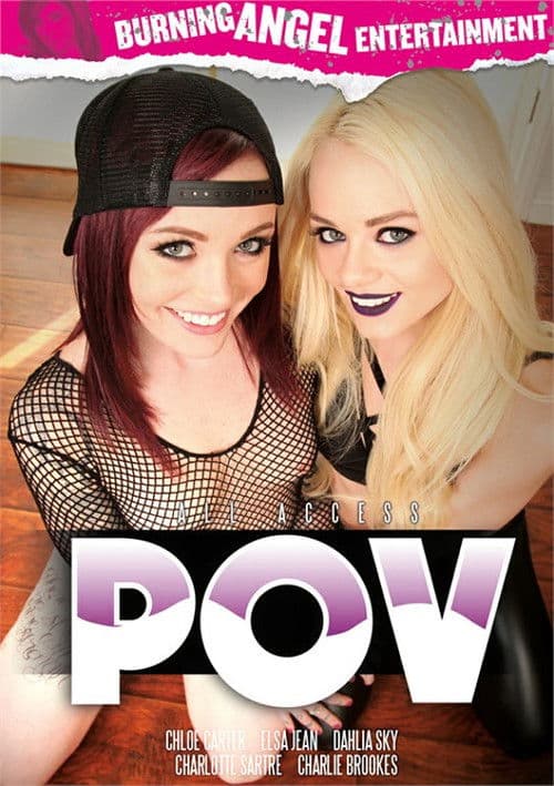 All Access P.O.V. poster