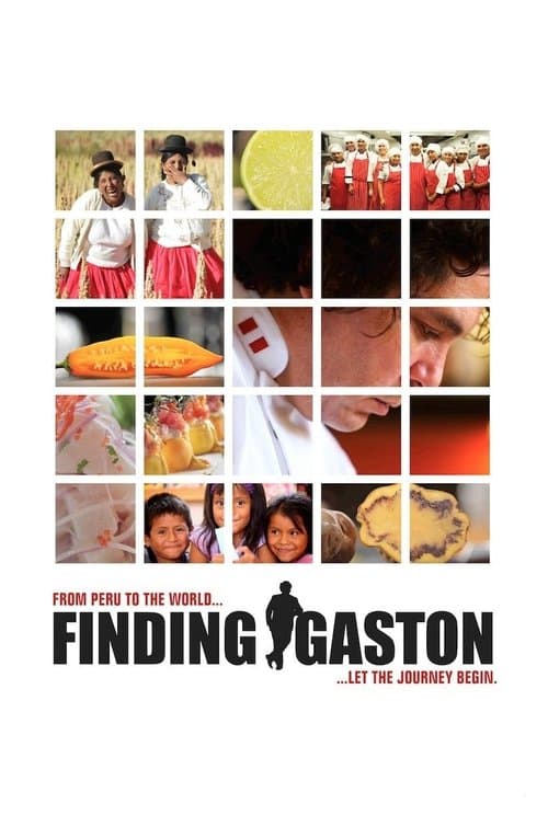 Finding Gastón poster