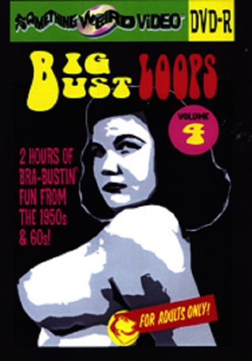 Big Bust Loops Volume 4 poster