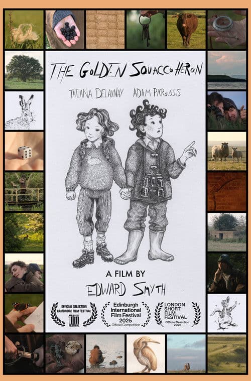 The Golden Squacco Heron poster