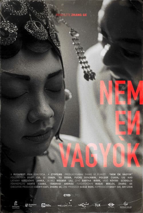 Nem én vagyok poster