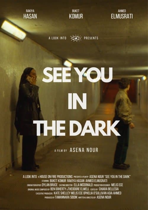See You In The Dark poster