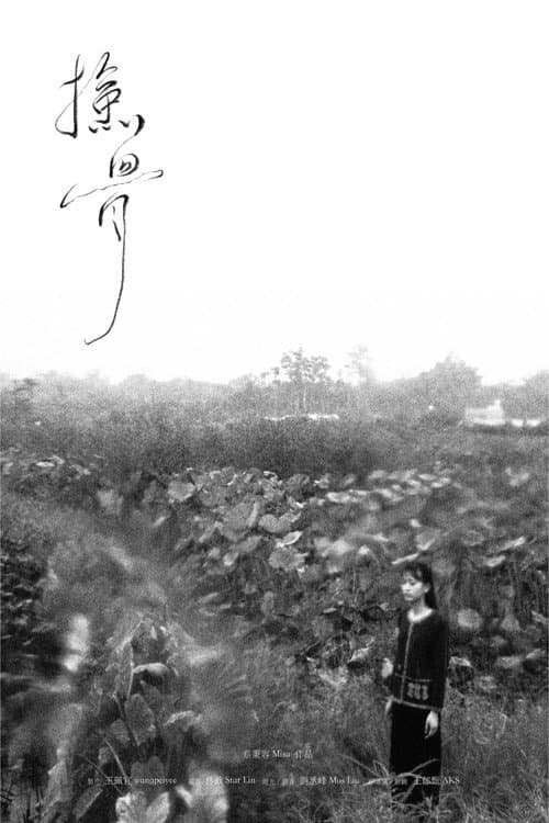 撿骨 poster