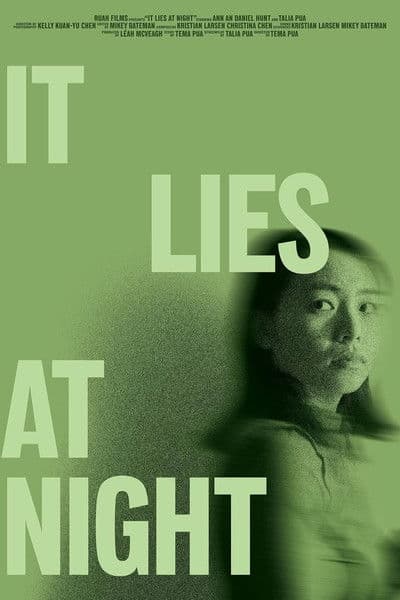 It Lies at Night poster
