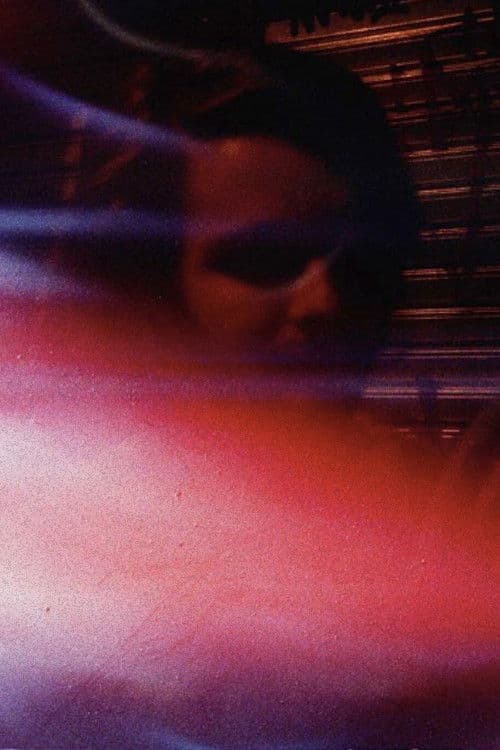 João Pedro Albuquerque profile photo