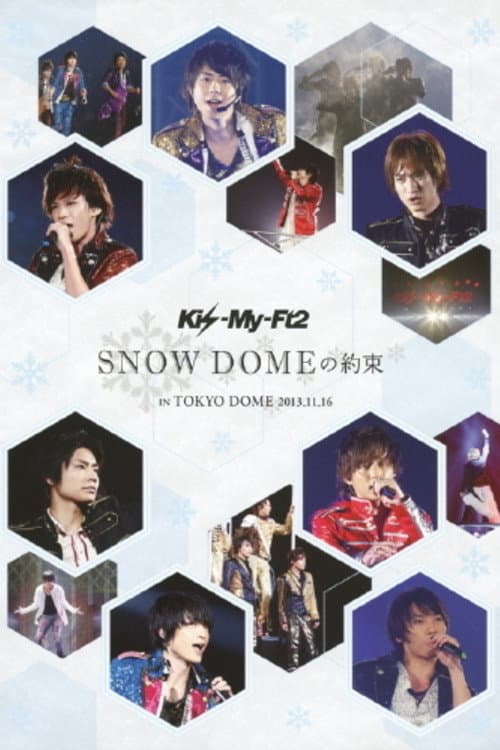 SNOW DOME no Yakusoku in TOKYO DOME 2013.11.16 poster