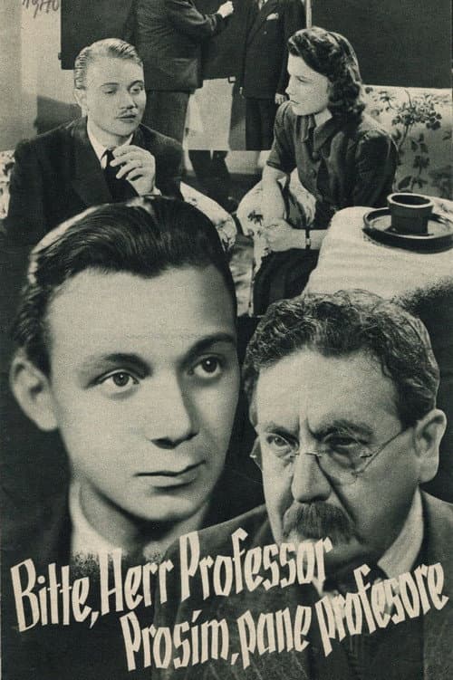 Prosím, pane profesore! poster