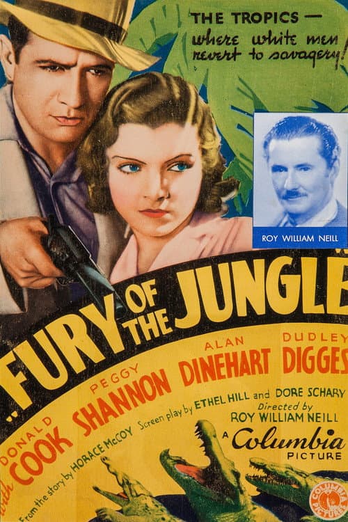 Fury of the Jungle poster