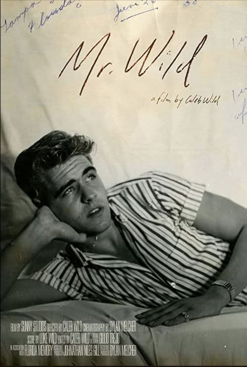 Mr. Wild poster