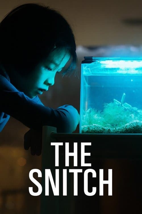 The Snitch poster