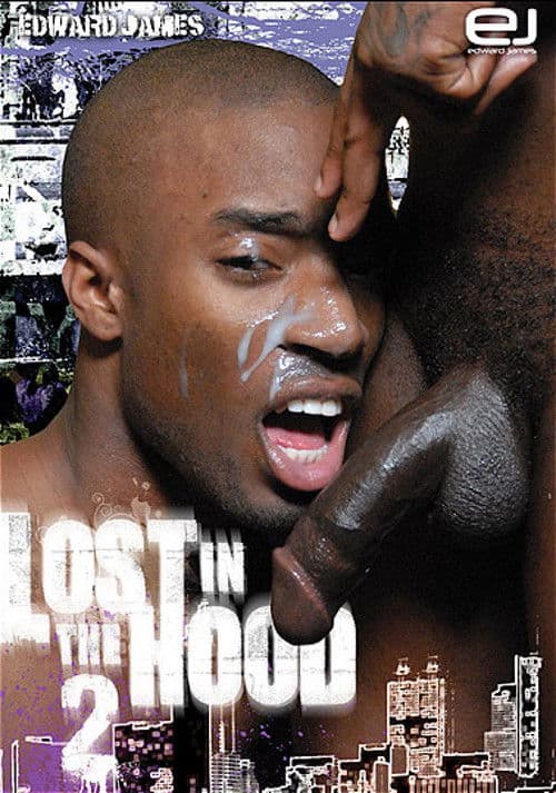 Lost in the Hood 2 poster