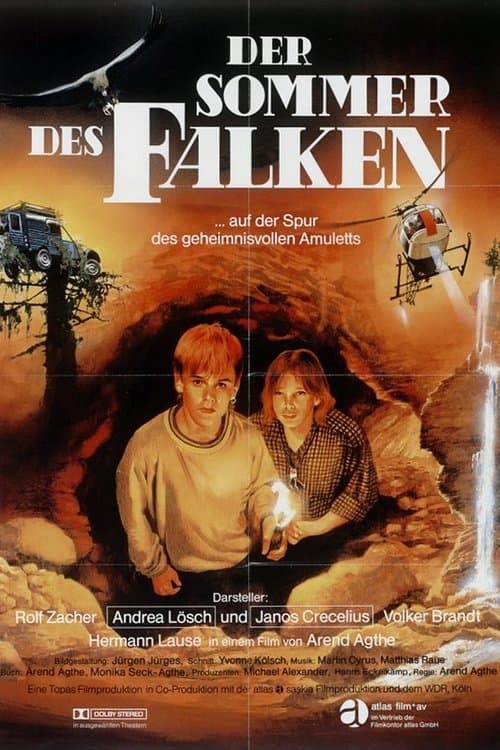 Der Sommer des Falken poster
