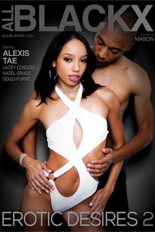 Erotic Desires 2 poster