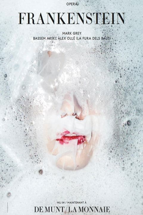 Frankenstein - Grey poster