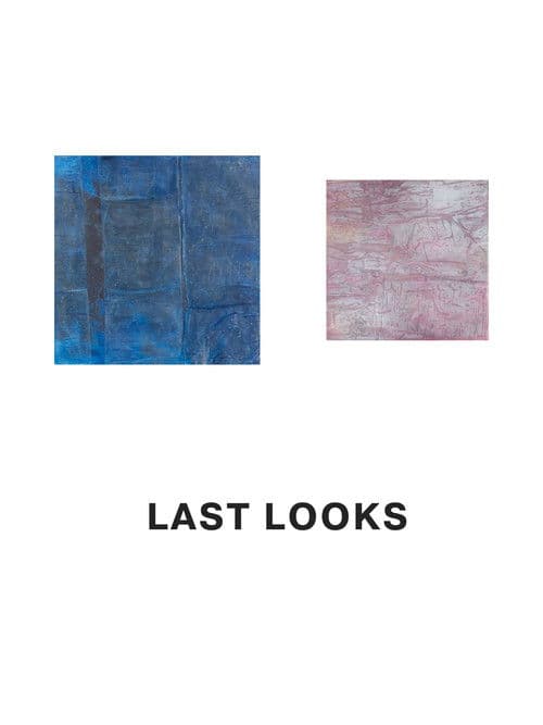 Last Looks poster