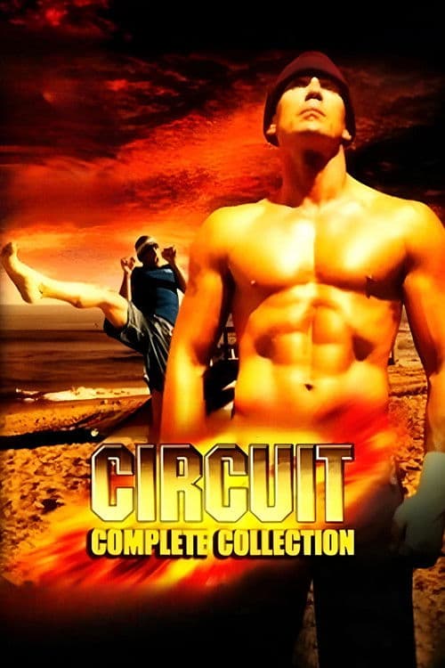 The Circuit Collection