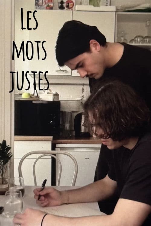 Les mots justes poster