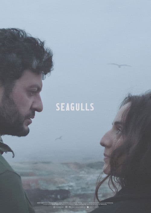 Seagulls poster