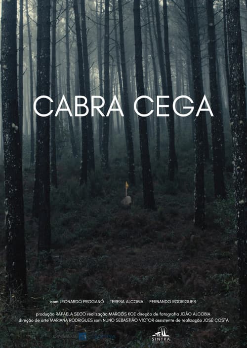 Cabra Cega poster