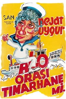 Alo Orası Tımarhane mi poster