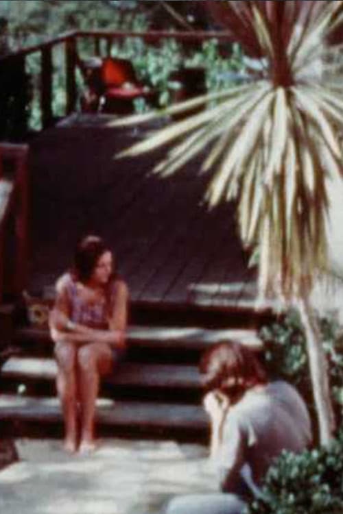 Notes on Bob and Nancy poster